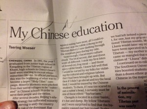 my Chinese education