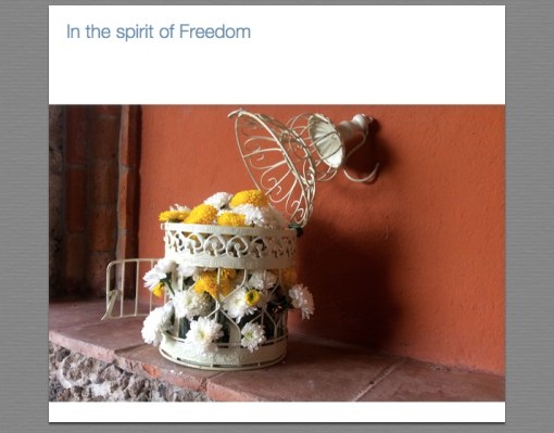 Freedom in San Miguel de Allende